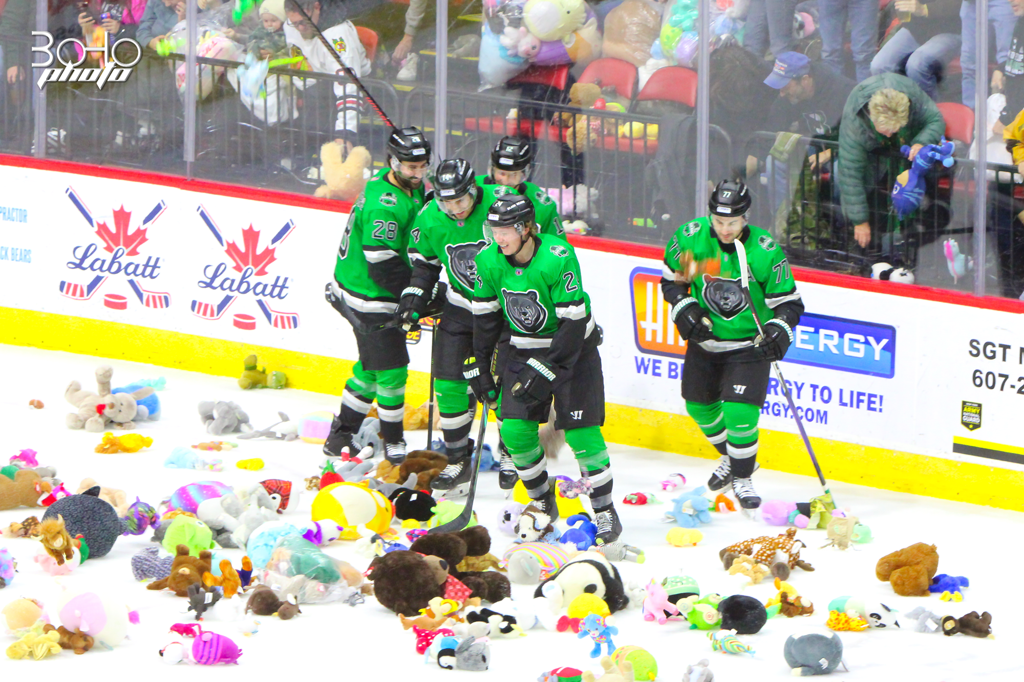 Binghamton's Teddy Bear Toss